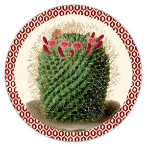 SOTTOPIATTO ARTIGIANALE TONDO LA CORALLINA FIRENZE GRAND CAYMAN CACTUS